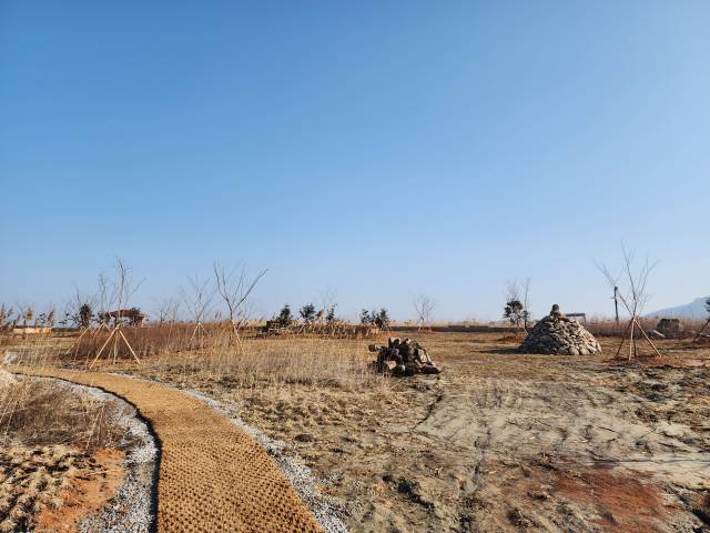 갈대숲길3