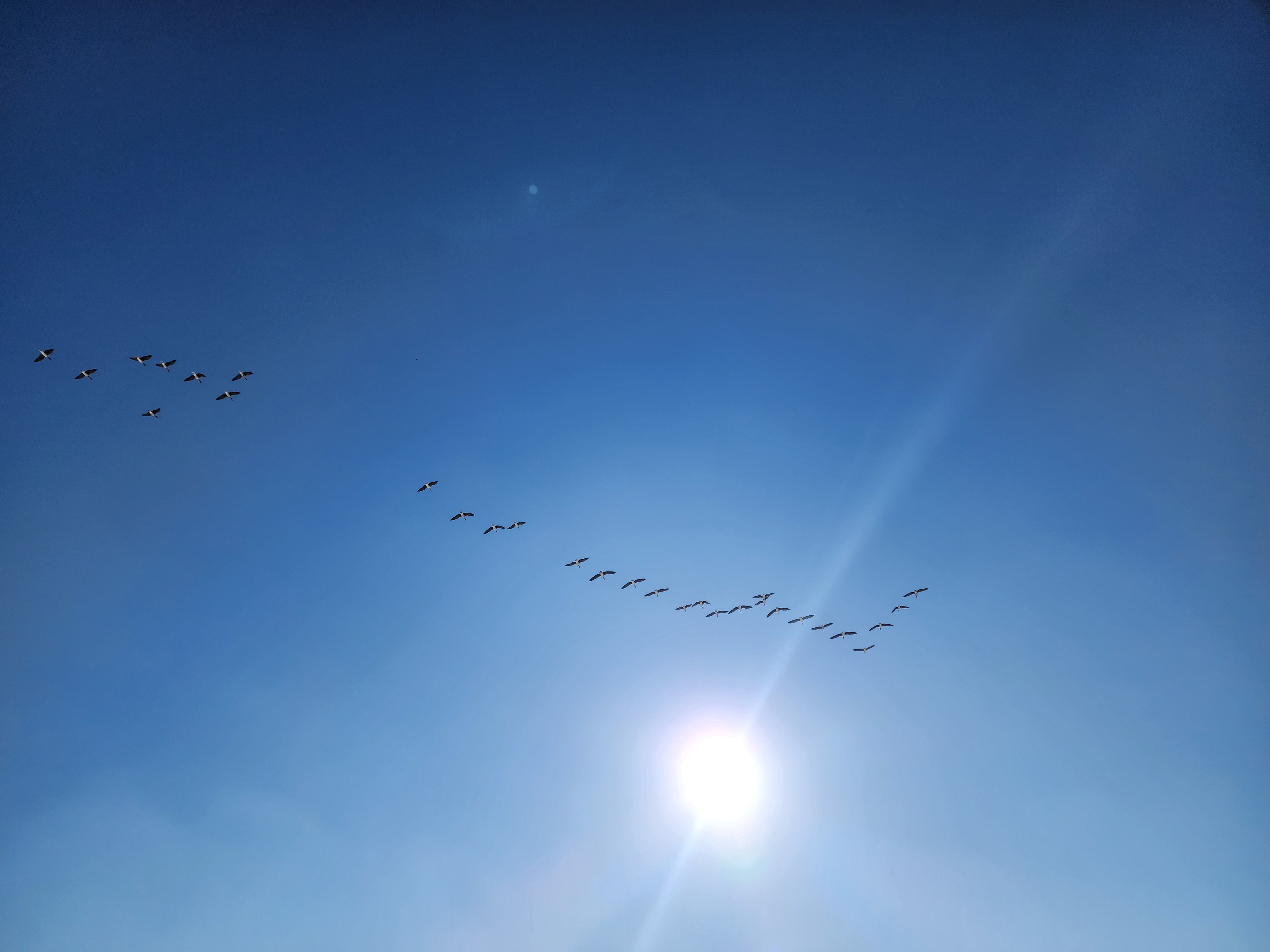 20221225_134847.jpg