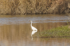 _DSC7990.png