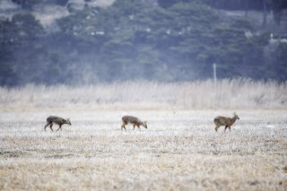 수정됨_smg_ecology_00280_1_S.jpg