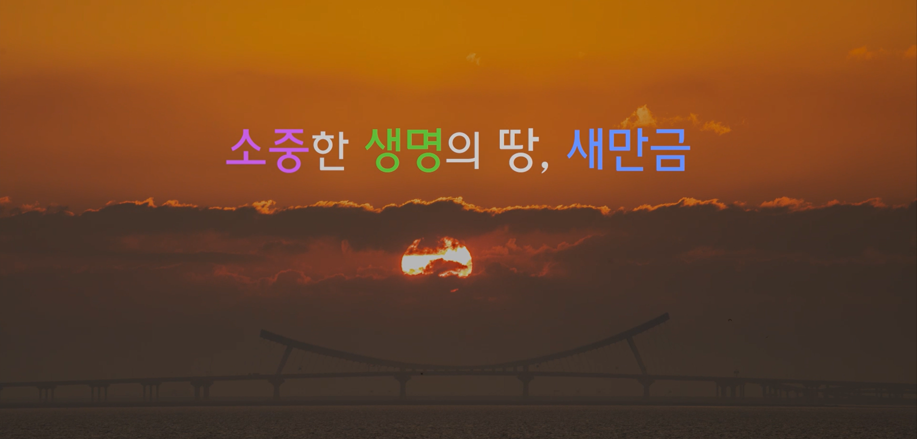02_smg_ecology23_101_S_1000002.png